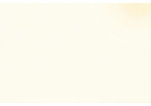 Dawn at Guangzhou Wet Market: Fresh Seafood and Local Gossip