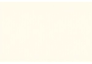 Savoring Chinese Street Food The Heart of Urban Daily Living