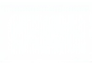 A Morning at Local Markets China Where Tradition Lives