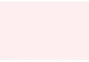 Fusion and Flavor: How Shanghai’s Cafés Define Urban Culture