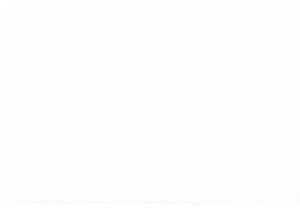 Experience Chinese Street Food at Authentic Local Markets