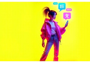 The Art of Being ‘Salty’ (Sao) in Chinese Internet Discourse