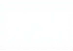 Shopping Smart at a True Local Market in Tianjin