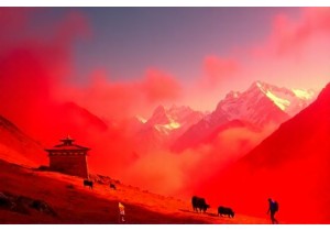 Find China Cold Men Mu Biao De Nature and Culture