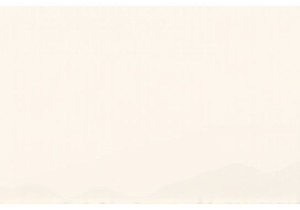 A Morning in Beijing: Navigating the Bustling Local Markets