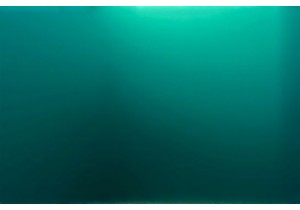 Navigating the Sights and Smells of a Wet Market