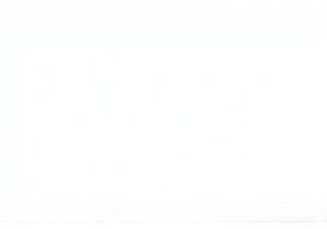 Late Night Bites in Guangzhou