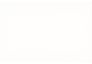 The Rhythm of Tradition: Celebrating Lunar New Year in a Chinese Hometown