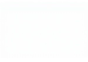 Shanghai Modern Culture in Xintiandi District Life