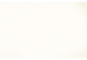 Hefei’s Neighborhood Teahouses: Quiet Corners in a Busy City