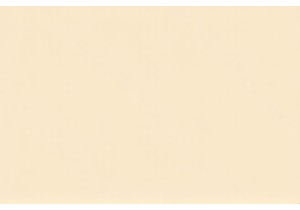 Shanghai Modern Culture Craft Beer Tasting in Xuhui