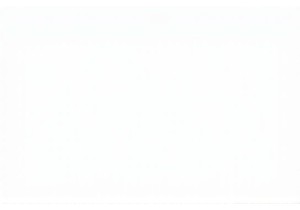 The Dragon Awakens: Celebrating Chinese New Year in a Traditional Village