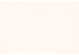 Lhasa’s Tibetan Markets: Faith and Flavor Intertwined