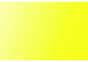 Viral Video Trends China Behind the Most Shared Clips