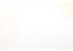 Understanding Chinese Buzzwords Through Travel Shopping Trends Bridging Culture and Commerce