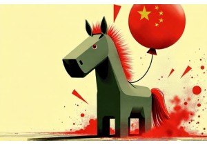 Youth Rebellion Through Humor in Chinese Memes