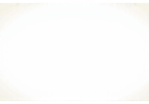 Hong Kong Wet Markets: Chaos