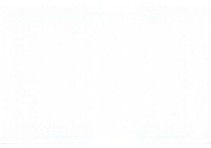 Urban Villages and Local Lifestyle China Feels