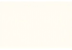 Celebrate Spring Festival with Traditional Customs