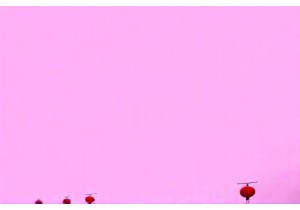 Chengdu Slow Living: A Local’s Guide to Tea Houses and Park Life