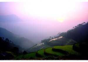 From Rice Terraces to Mountain Temples: Slow Travel in Guizhou
