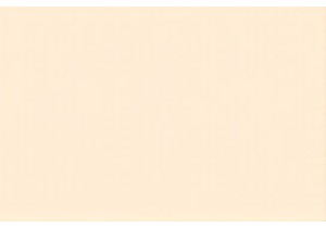 Connecting Cultures Through Chinese Street Snacks