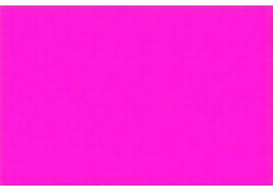 Learn Calligraphy in China