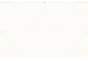 From Farm to Table in Chinese Local Markets