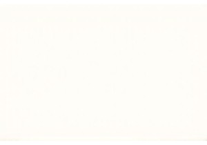 Chinese Street Food Adventures in Beijing Hutongs