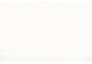 Harbin’s Winter Markets: Surviving the Cold with Warm Dumplings