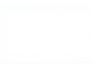 Ancestral Rhythms: Drumming