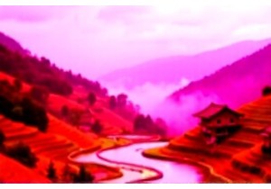 Walking with the Miao: A Cultural Hike Through Guizhou’s Mountain Villages