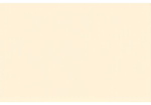 Experience Chinese Street Food Like a Local Resident