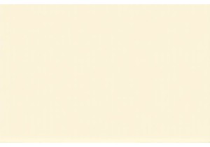 Life in a Guangzhou Alley: How Locals Start Their Day with Congee and Gossip