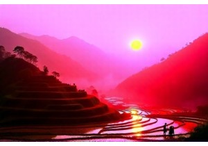 Yunnan Village Life: Rice Terraces