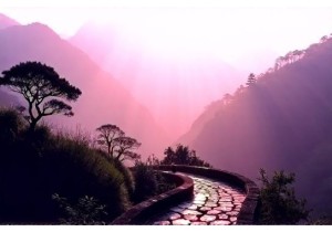 Tranquil Escapes in Jiangxi’s Wuyi Mountain Paths