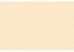 Taste the Spirit of Chinese Street Food Daily