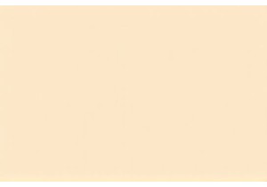 Following Locals to the Best Street Food Spots