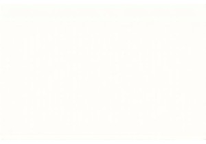 Experience the Real Local Lifestyle China Beyond Tourism