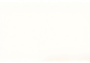 Explore Chinese Street Food Culture in Local Markets