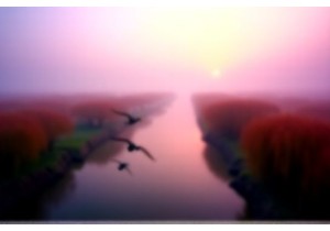 Tranquil Journeys in China’s Eastern Wetlands