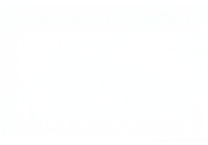 Exploring Daily Life in China Through Local Markets