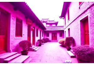 Use a China City Guide to Explore Secret Courtyards