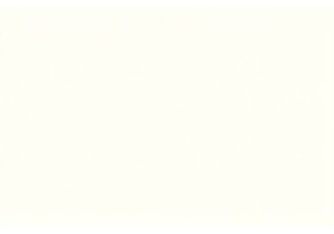 Experiencing the Charm of Local Markets China Firsthand