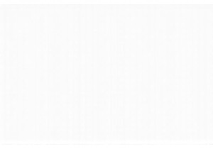 How Cities Shape Chinese Social Behavior