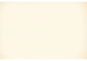 The Art of Slow Living: Finding Peace in a Suzhou Teahouse