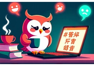 The Secret Life of Duolingo Owls: How Western Memes Go Local in China