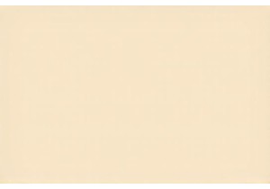 Cultural Treasures Within Chinese Cultural Experiences Revealed