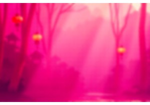 Chengdu Slow Living A Local