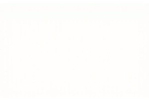 Festival Lights: Experiencing Traditional Chinese Celebrations Firsthand